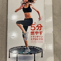 La-VIE｜ラ・ヴィ 健康グッズ B-SANTE(ビ・サンテ)　ダイエットステップ[エクササイズ 家庭用]の画像