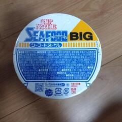 カップヌードルBIG各種⑤の画像