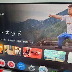 テレビ 55v ソニー 難ありの画像