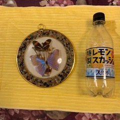 ★チャリティ★ 蝶の壁掛けの画像