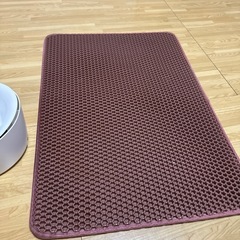 ペット　水の画像