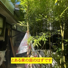 とある家の住環境に関して・・・