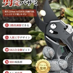 剪定バサミ 園芸用はさみ 2段階調節 耐久性UP 軽量グリップ 枝切りハサミの画像