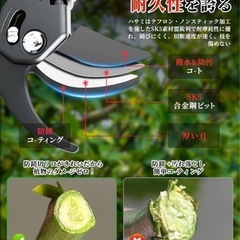 剪定バサミ 園芸用はさみ 2段階調節 耐久性UP 軽量グリップ 枝切りハサミの画像