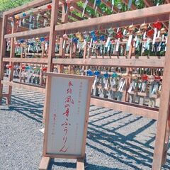 毎日LINEしたり&たまに遊び行ける人募集⭐
