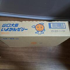 山口大島　いよかんゼリー　６個の画像