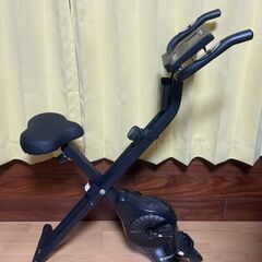お引き取り限定品　STEADY エアロバイク（折りたたみ式）　USED美品の画像