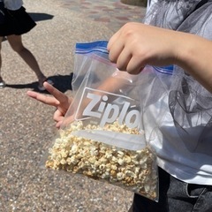 ディズニーランド　ディズニーシー　ポップコーン引換券の画像