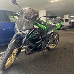Kawasaki Z250 ABSスペシャルエディションの画像