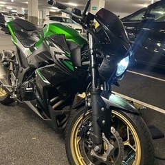 Kawasaki Z250 ABSスペシャルエディションの画像