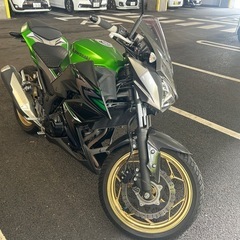 Kawasaki Z250 ABSスペシャルエディションの画像