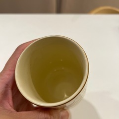 くまさん　コップの画像