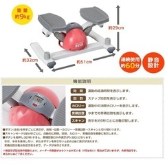 東急スポーツオアシス ツイスト ステッパーの画像