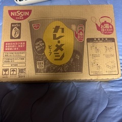 カレーメシ①の画像