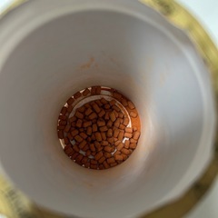 水棲カメ フードの画像