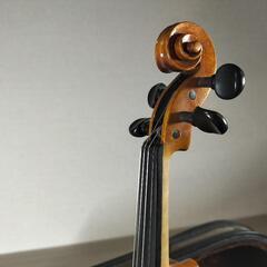 🎻 美しいエルストン バイオリン 1/8サイズ 🎻の画像