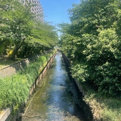 友達募集してます✨