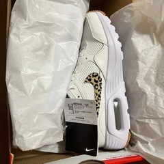 NIKE AIR MAX SC FZ2649 100の画像