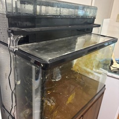 GEX ラピレス　60 水槽　フィルター　ヒーターの画像