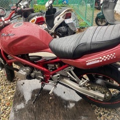 SUZUKI banmit250の画像
