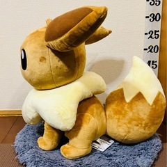 未使用#イーブイ#めちゃもふっと#ポケモン#ぬいぐるみ#クレーンゲーム#UFOキャッチャー#景品#大きい#ビッグ#ラウンド1#の画像