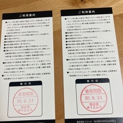 西武園ゆうえんち ご招待券 2枚の画像