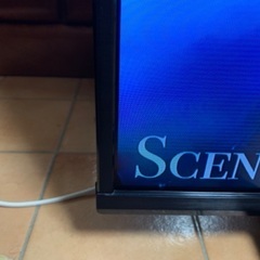 TCL 4K Andloid TV 55インチ 55型 55P615 2023年製 ジャンク 訳ありの画像
