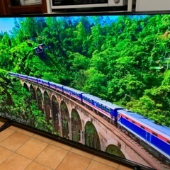 TCL 4K Andloid TV 55インチ 55型 55P615 2023年製 ジャンク 訳ありの画像