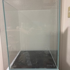 30 キューブ　ハイ　水槽　水槽台　の画像