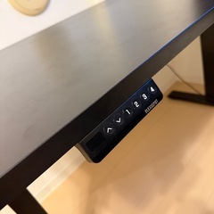 FLEXISPOT 電動式スタンディングデスク(幅120×奥行60,メモリー機能付き)の画像