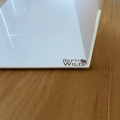 レプタイズボックス300×200の画像