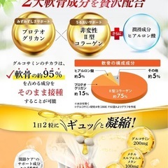 【2袋】グルコサミンのチカラ サプリメントの画像