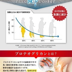 【2袋】グルコサミンのチカラ サプリメントの画像