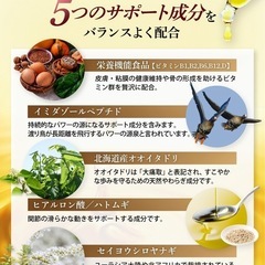 【2袋】グルコサミンのチカラ サプリメントの画像