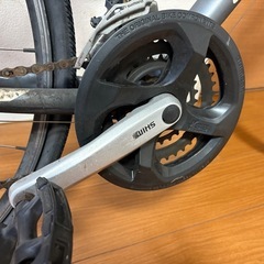 キャノンデールの画像