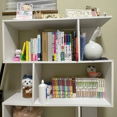 棚(本棚やディスプレイ棚に使えます)