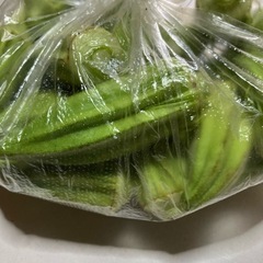 【予約販売】ナス・きゅうり・玉ねぎの画像