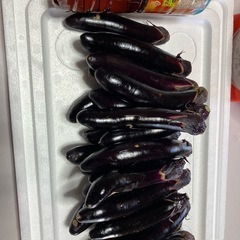 【予約販売】ナス・きゅうり・玉ねぎの画像