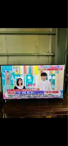 ⭐️東芝REGZA  4K 液晶テレビ　 43Z670L 2023年製