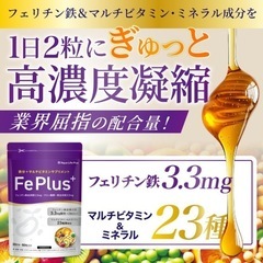 Fe Plus フェリチン鉄 鉄分 サプリメント 30日分 マルチビタミンの画像