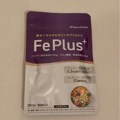 Fe Plus フェリチン鉄 鉄分 サプリメント 30日分 マルチビタミンの画像