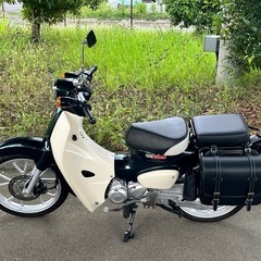  スーパーカブ110 (JA59) 現行型 低走行5千km代 自賠責10年 4月まで  タンデムシート サイドバッグ付き  【埼玉県】の画像