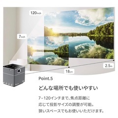 ✨期間限定価格PicoCubePLUSの画像