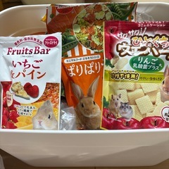 ハムスター用品お話中
の画像