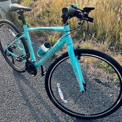 Bianchi C-SPORT 1（決定いたしました）の画像