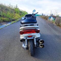 マジェスティcの画像