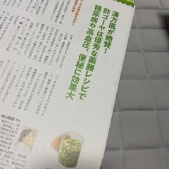 ゴーヤ活用本ヘモグロビンが正常値に‼️の画像