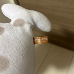 おでかけ子ザメ　ぬいぐるみの画像