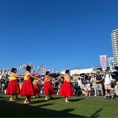 一緒にフラダンスしませんか？メンバー募集中！の画像