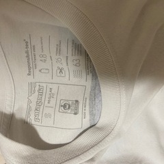 パタゴニア  Tシャツの画像